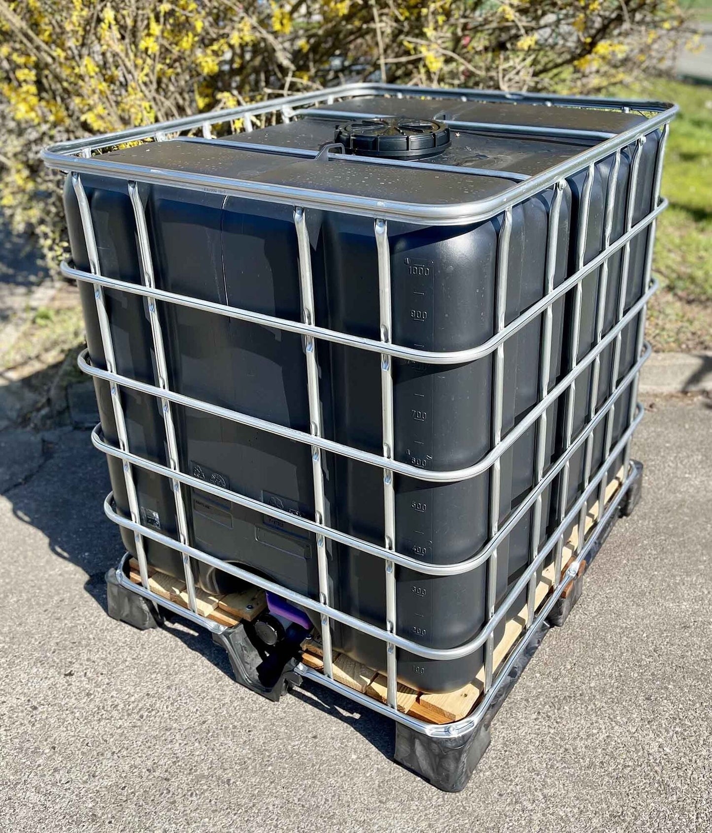 Cuve citerne noire palette plastique 1000 Litres récupération eau pluie