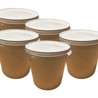 LOT 5 X Seau Plastique 32 L litres avec POIGNÉE RENFORCÉE ET Couvercle HERMÉTIQUE – Durable ET EMPILABLE pour Usage Domestique O