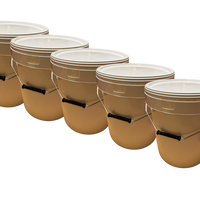 Lot de 5 Seaux Plastiques 20 L avec Couvercle Hermétique – Robustes, Étanches et Empilables - Jordan & Jordan
