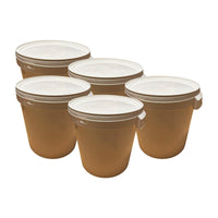 Lot de 5 seaux plastiques 32 L avec couvercle hermétique – Empilables avec poignée renforcée
